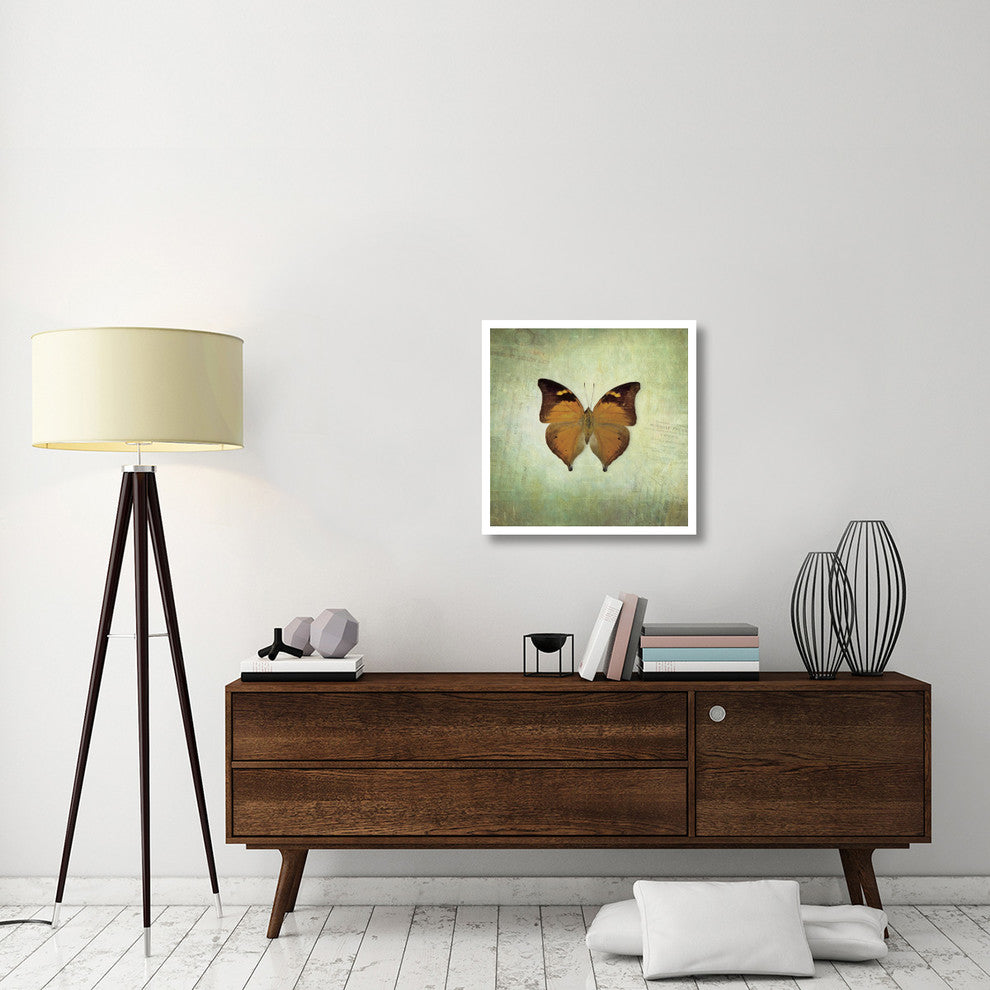 "French Butterfly VII" Digital Paper Print by Debra Van Swearingen, 26"x26"