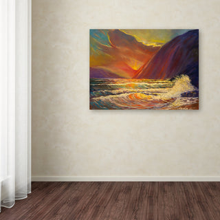 'Hawaiian Coastal Sunset' Canvas Art, 47x35