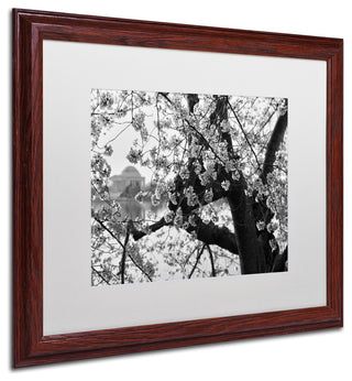 CATeyes 'Blossoms BW' Matted Framed Art, Wood Frame, White Mat, 20x16