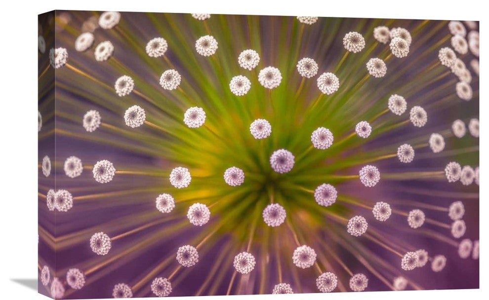 "Colours" Stretched Canvas Giclee by Wave Faber, 22x15"
