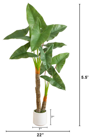 Artificial Arrowhead Philodendron, White Decorative Planter, 5.5 Ft.