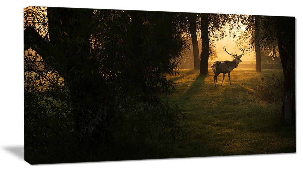 Deer In Sunset In Deep Forest, Large Forest Canvas Art Print, 32"x16"