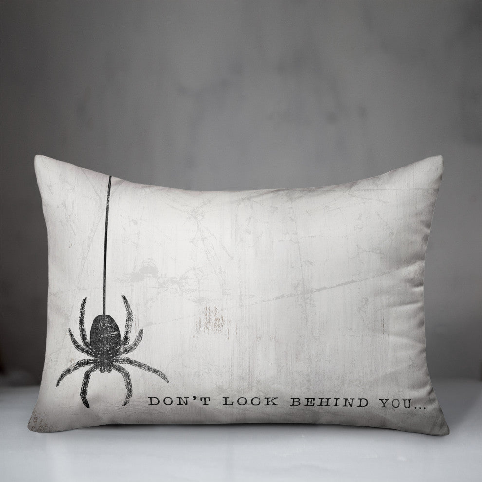 Look Behind You Spider 14x20 Throw Pillow