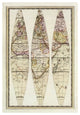 "Globo Terrestre IV, 1792" Print by Giovanni Maria Cassini, 27"x38"