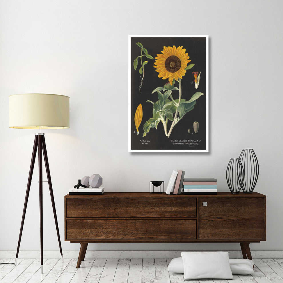 "Sunflower Chart" Digital Paper Print by Sue Schlabach, 34"x50"