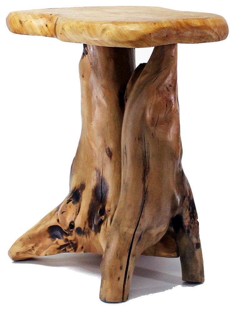 Unique Root End Table