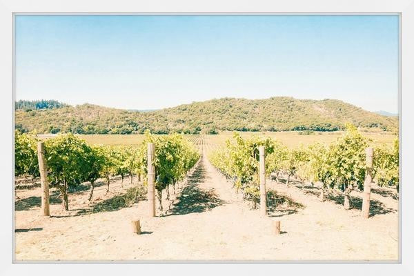 "Vineyard" Framed Painting Print, 30"x20"