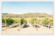 "Vineyard" Framed Painting Print, 30"x20"