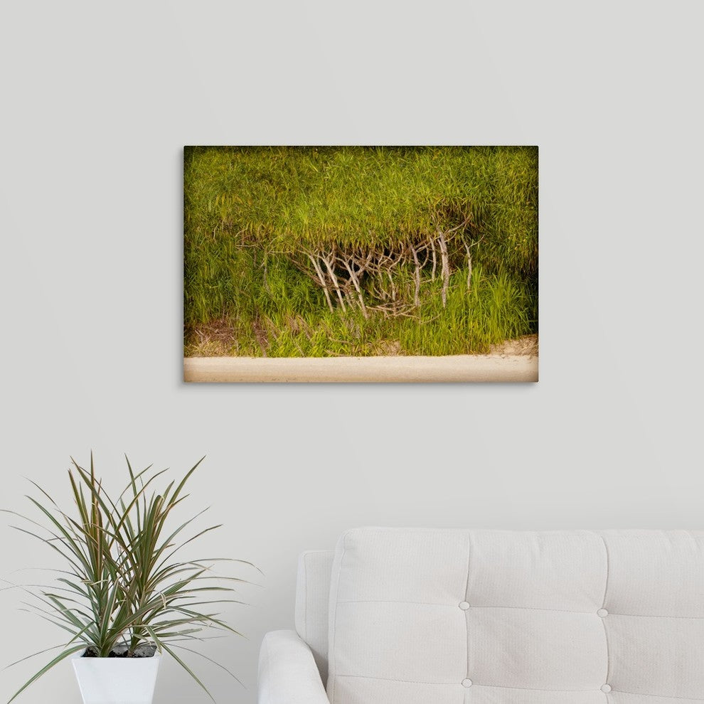 "Twisted Palms" Wrapped Canvas Art Print, 24"x16"x1.5"