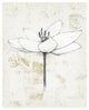 "Pencil Floral I Gold" Digital Paper Print by Avery Tillmon, 22"x26"