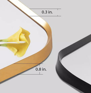 Rita 23.6 in. x 39.5 in. LED Metal Framed Bath Vanity Mirror, Black