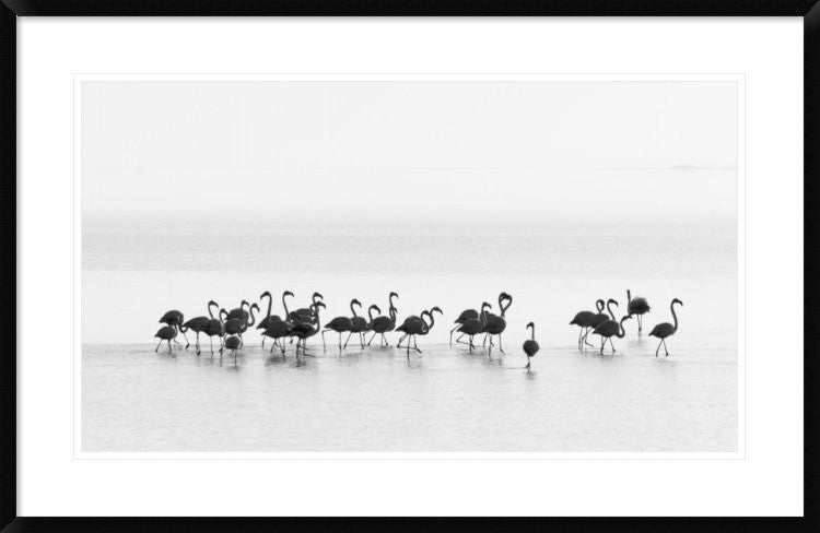 "Flamingos" Framed Digital Print by Joan Gil Raga, 38x24"