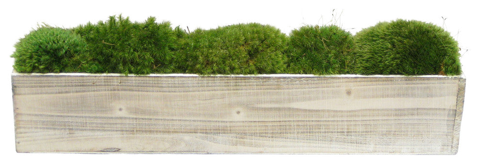 Wooden Container White Wash, Moss