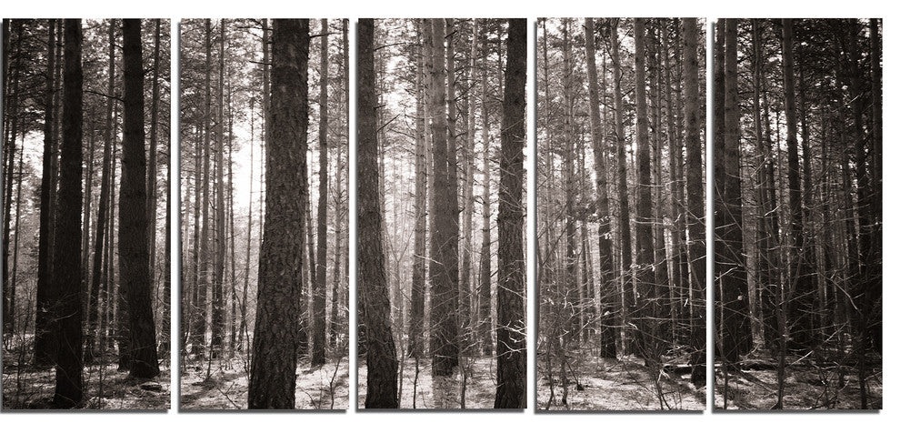 Beautiful Misty Forest in the Autumn, Forest Canvas Art Print, 60"x28", 5 Panels