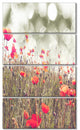 Red Poppy Flowers Meadow, Floral Canvas Art Print, 28"x48", 4 Panels