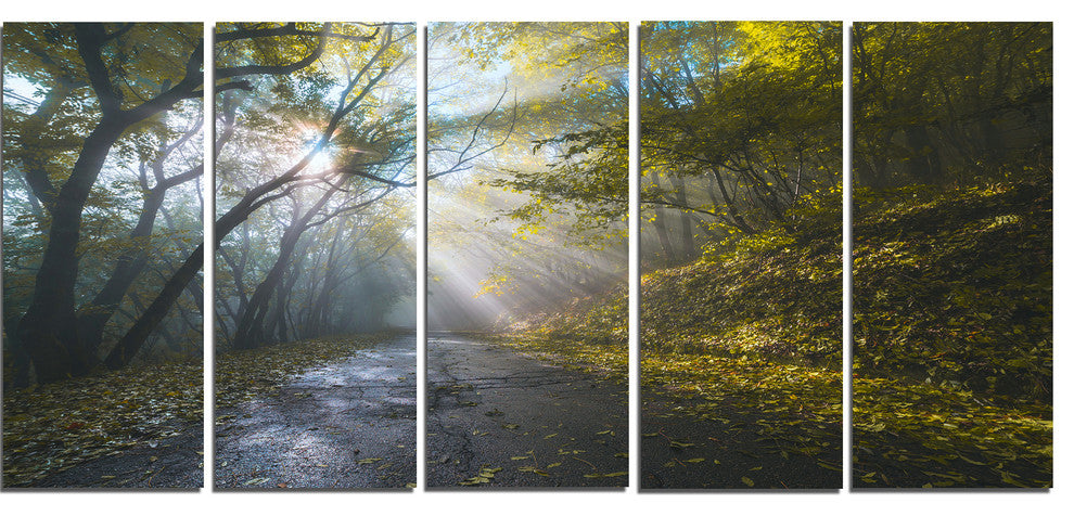 Road in Autumn Forest at Sunset, Large Landscape Canvas Print, 60"x28", 5 Panels