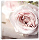 "Vintage Photo Floral" by Symposium Design, Canvas Print, 12x12"
