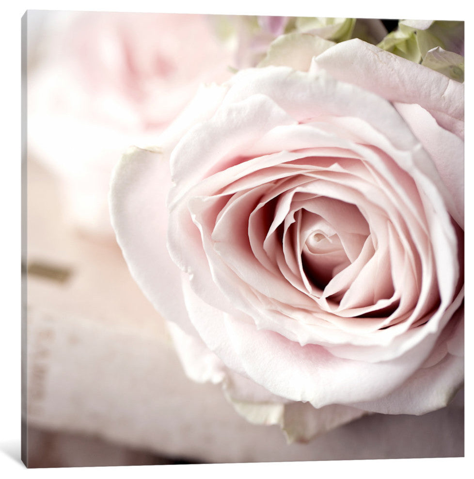 "Vintage Photo Floral" by Symposium Design, Canvas Print, 12x12"