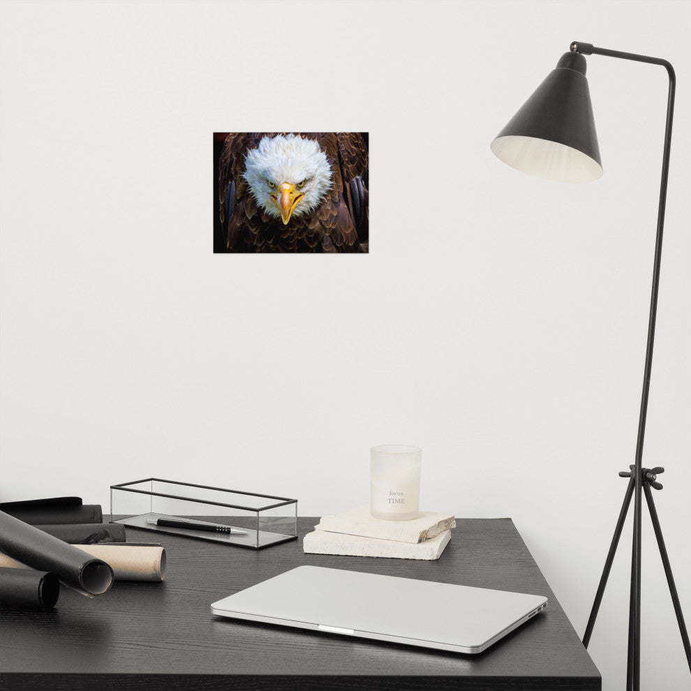 Bald Eagle Portrait Close-up Loose Wall Art Print, 8" X 10"