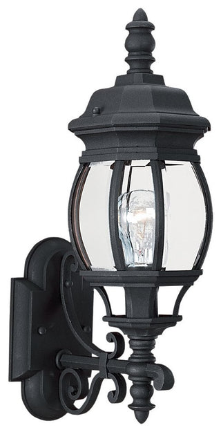 Wynfield 1-Light Outdoor Wall Lantern, Black