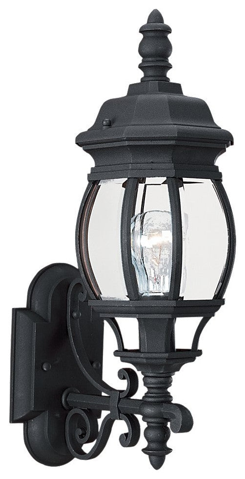 Wynfield 1-Light Outdoor Wall Lantern, Black
