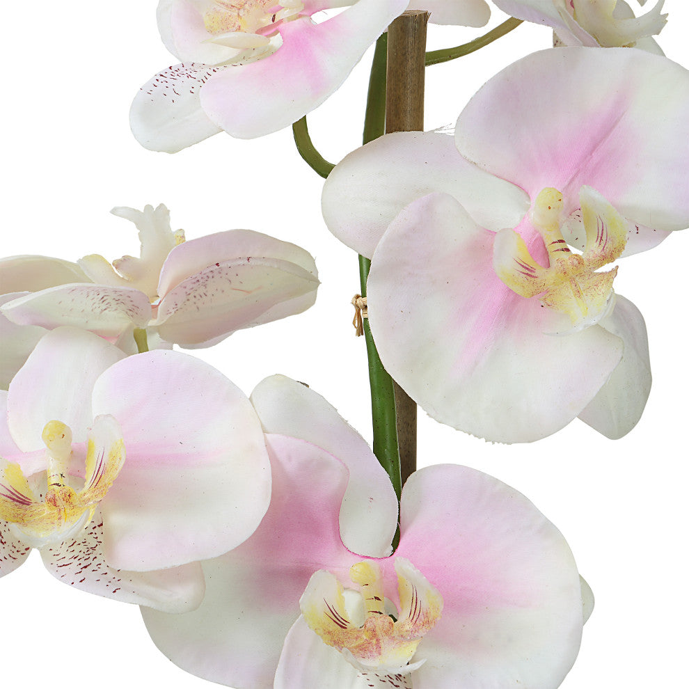 Uttermost 60196 Blush Pink And White Orchid