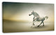 White Horse in Motion, Animal Canvas Art Print, 32"x16"