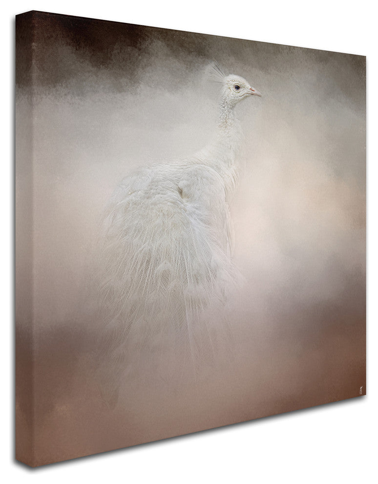 Jai Johnson 'Peacock 6' Canvas Art, 14 x 14