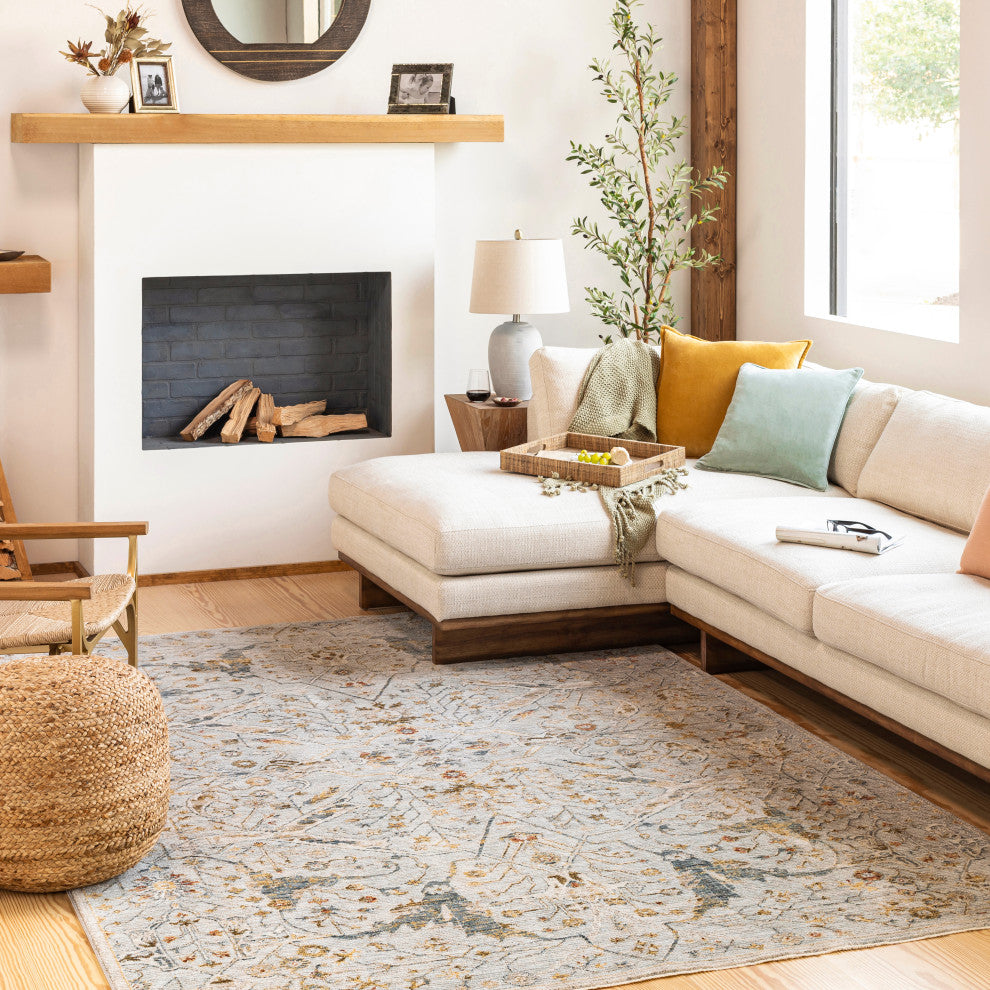 Reina REN-2301 Light Gray Machine Woven 2' x 3' Rug