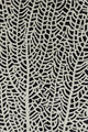 Stella Contemporary Area Rug, Black and Ivory, 5''x7''6"