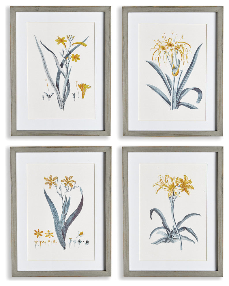 Daffodil Prints, Set of 4