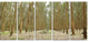 Rubber Trees Row in Thailand, Modern Forest Canvas Art, 60"x28", 5 Panels