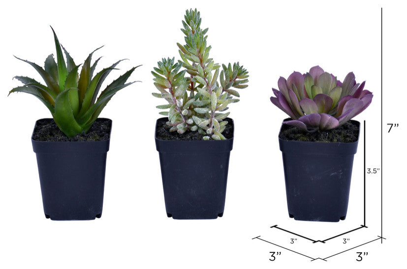 Vickerman FE191203 7" Artificial Succulent,  Black Plastic Planters Pot Set of 3
