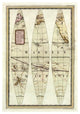"Globo Terrestre II, 1792" Print by Giovanni Maria Cassini, 32"x46"