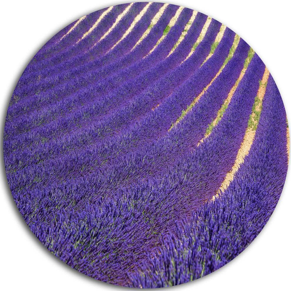 Lavender Blooming Fields As Texture, Landscape Disc Metal Wall Art, 23"