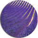 Lavender Blooming Fields As Texture, Landscape Disc Metal Wall Art, 23"