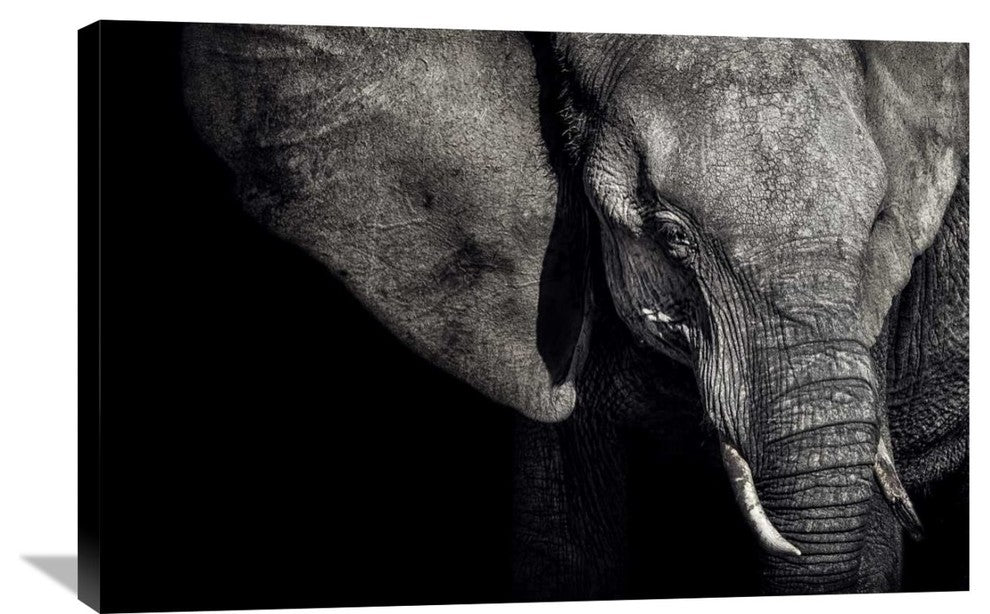 "The Matriarch" Stretched Canvas Giclee by Piet Flour, 36x24"