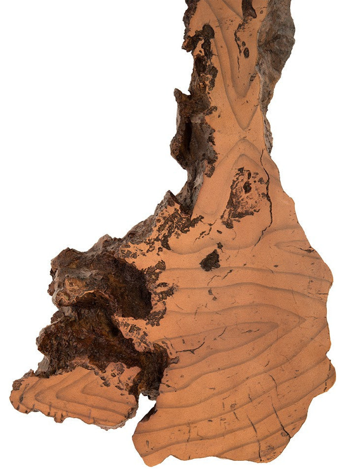 Burled Root Wall Art, Faux Bois