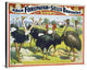 Adam Forepaugh and Sells Brothers Giant Birds, 40x32