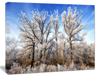 Beautiful Winter Evening View, Large Landscape Canvas Art, 40"x30"
