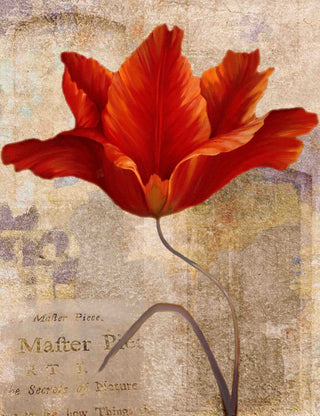 "Red Masterpiece I" Painting Print on Wrapped Canvas