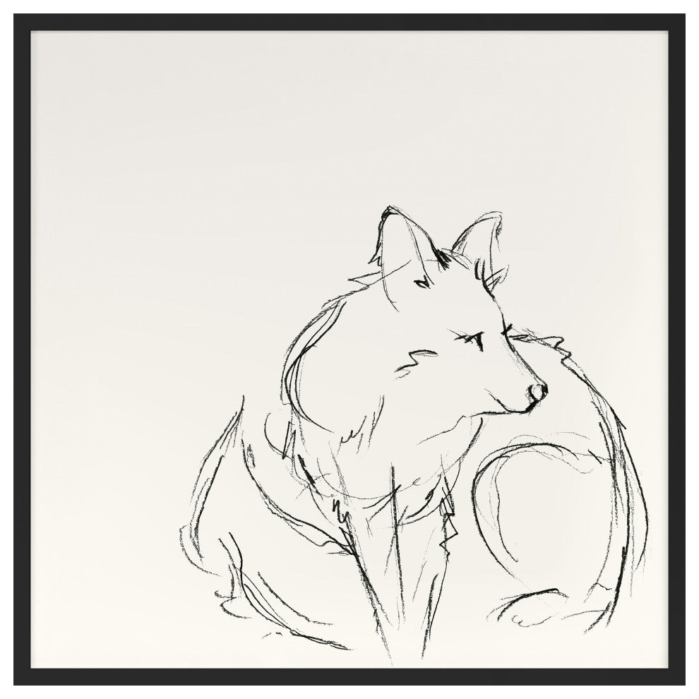 Fox Sketch 1 Fine Art Print, Black, 20"x20"