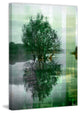 "Reflective" Fine Art Canvas Print, 30"x45"