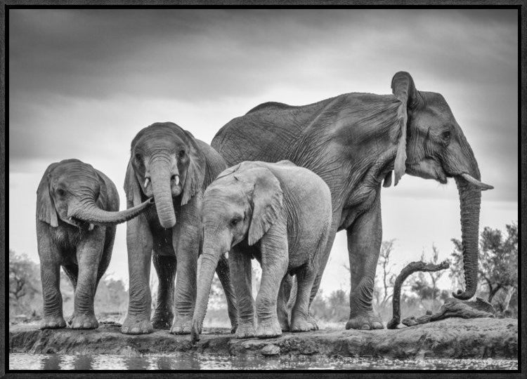 "A Giant Unity" Framed Canvas Giclee by Jaco Marx, 23x16"