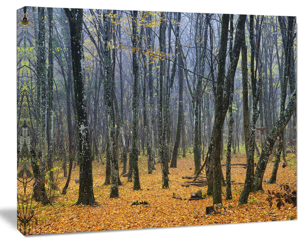 Dark Woods in Autumn Forest, Modern Forest Canvas Art, 40"x30"