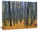 Dark Woods in Autumn Forest, Modern Forest Canvas Art, 40"x30"