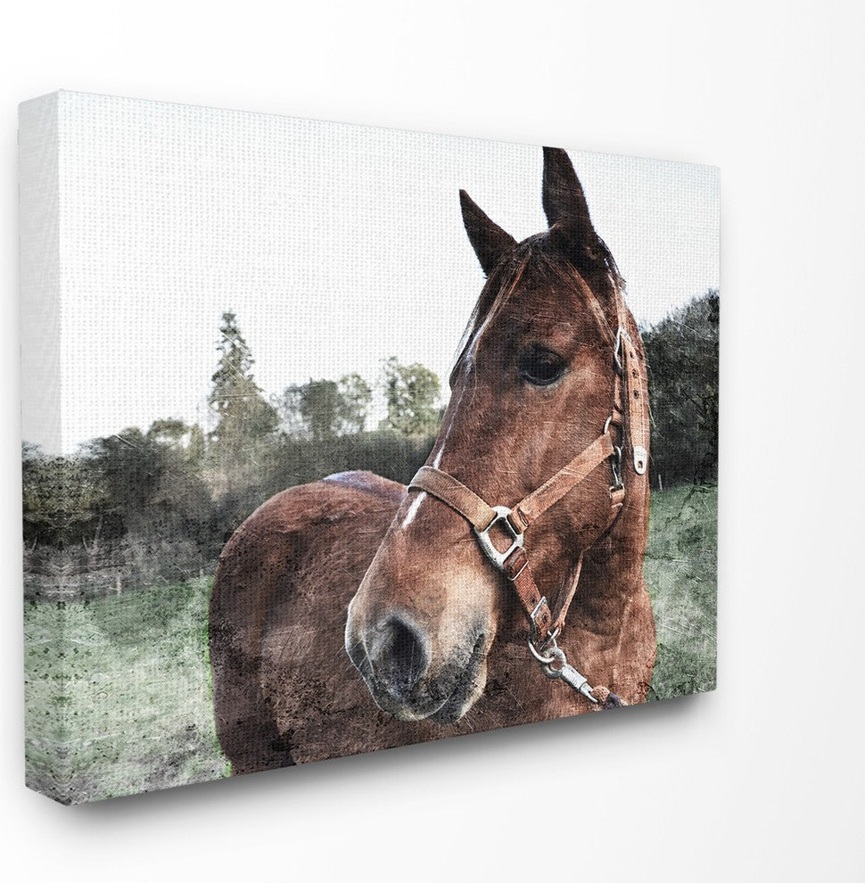 Stupell Ind. Horse Posing In Field Wall Art, 16" X 20", Canvas