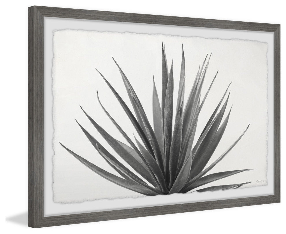 "Marginata" Framed Painting Print, 30x20
