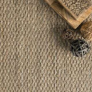 Nuloom Jute and Sisal Elijah Seagrass With Border Area Rug, Brown 5'x8'