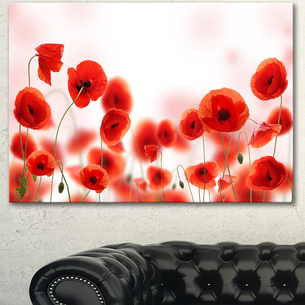 Poppy Flowers on Pink Background, Floral Canvas Art Print, 40"x30"